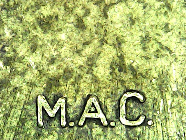 Italien 20 Cent 2002 - Das königliche Unikat mit dem Punkt im "A` von M.A.C."